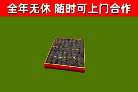 海陵回收海参
